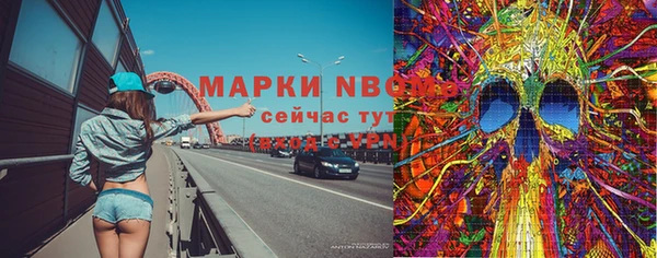 твердый Арсеньев