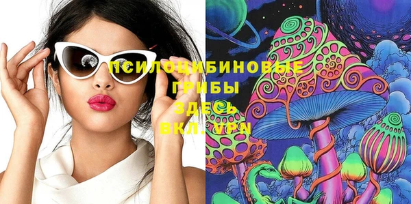 твердый Арсеньев