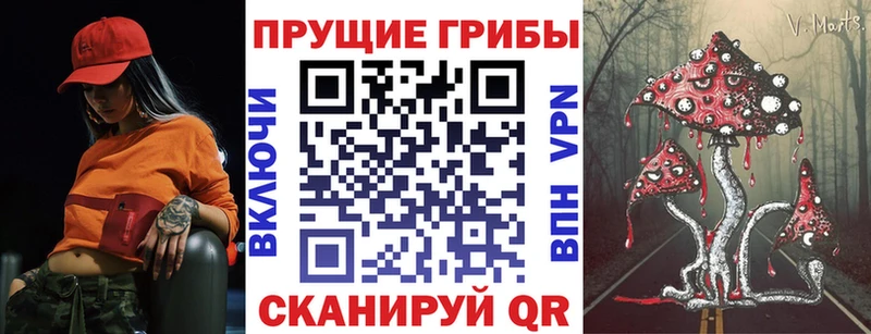 Псилоцибиновые грибы Cubensis  продажа наркотиков  blacksprut рабочий сайт  Среднеуральск 